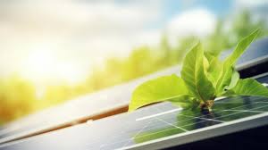Green Solutions